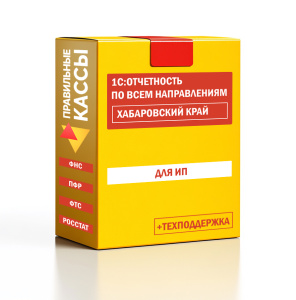 Отчетность_ИП_Хабаровский край